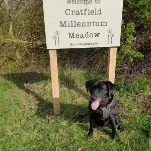 Millennium Meadow's Sign - the decision to commission the sign was made by the Parish Council and the work has been done superbly by Dan Elford a Parishioner of Cratfield