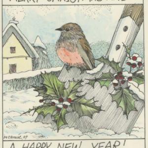 Robin Happy New Year 2011.